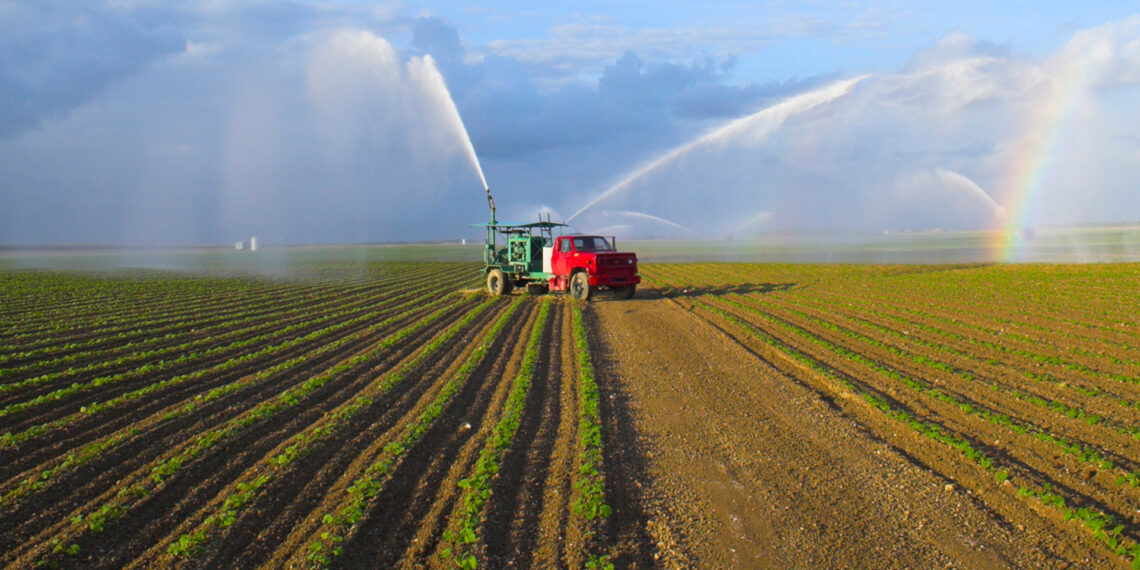 Crops are watered on a Florida farm (iStock image)