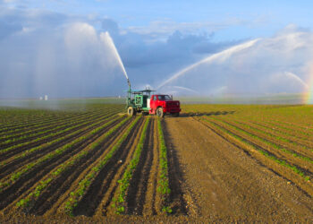 Crops are watered on a Florida farm (iStock image)