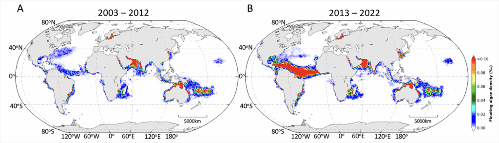 These figures show the change in density of global floating algae in the 20 years between 2003 and 2022. (Credit: Qi et al.)