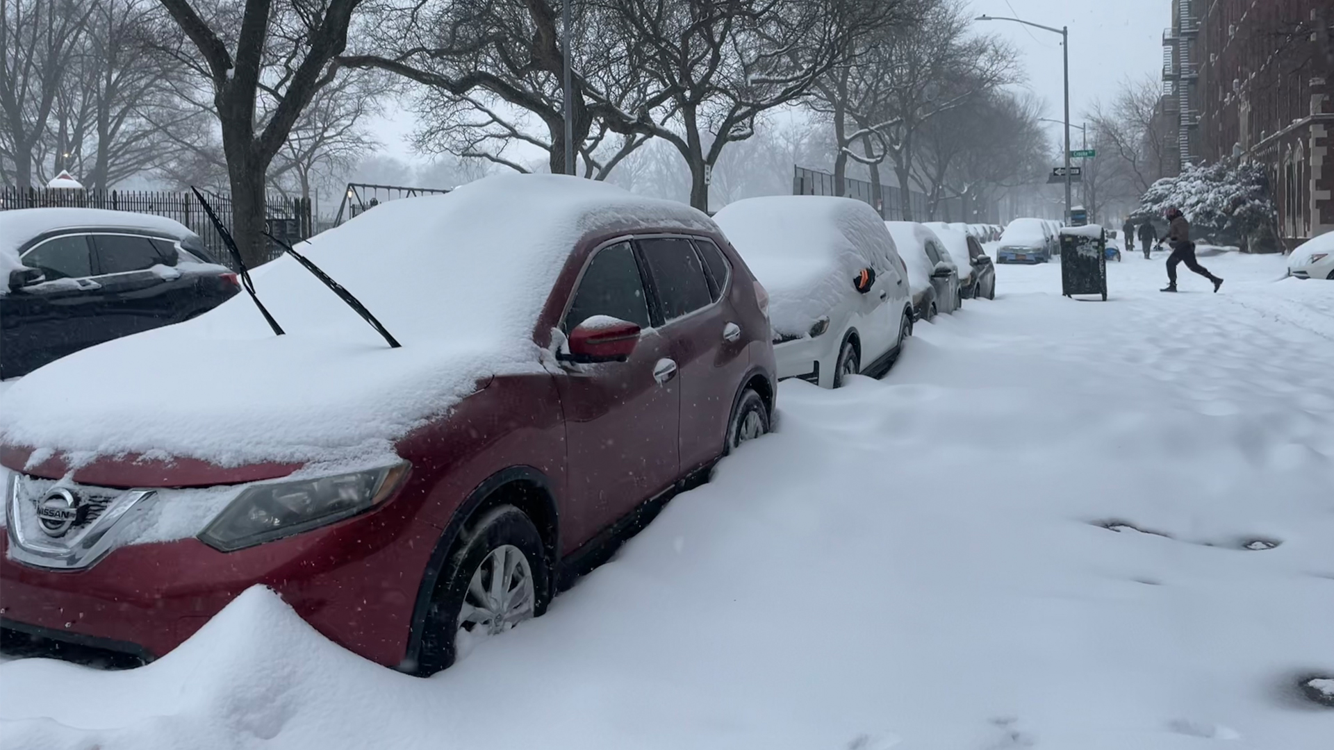 How the polar vortex and warm ocean intensified a major US winter storm ...