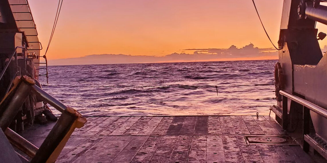 A research ship sails in the Atlantic Ocean, where scientists are studying the roles of marine viruses. (SW Wilhelm)