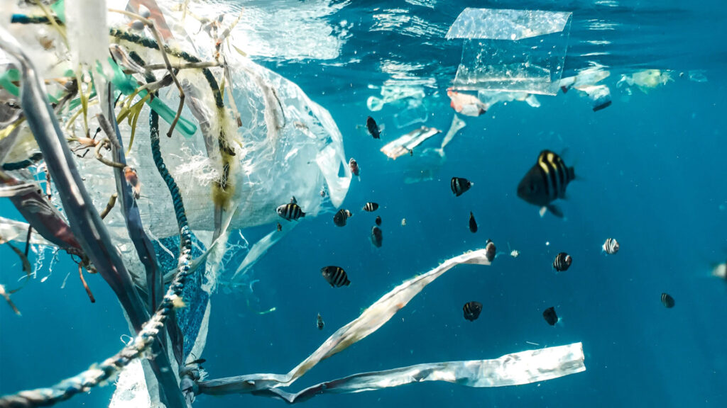 Plastic pollution in the ocean can be colonized by potentially harmful bacteria and other pathogens, including Vibrio. (Image courtesy of Naja Bertolt Jensen/Ocean Image Bank)