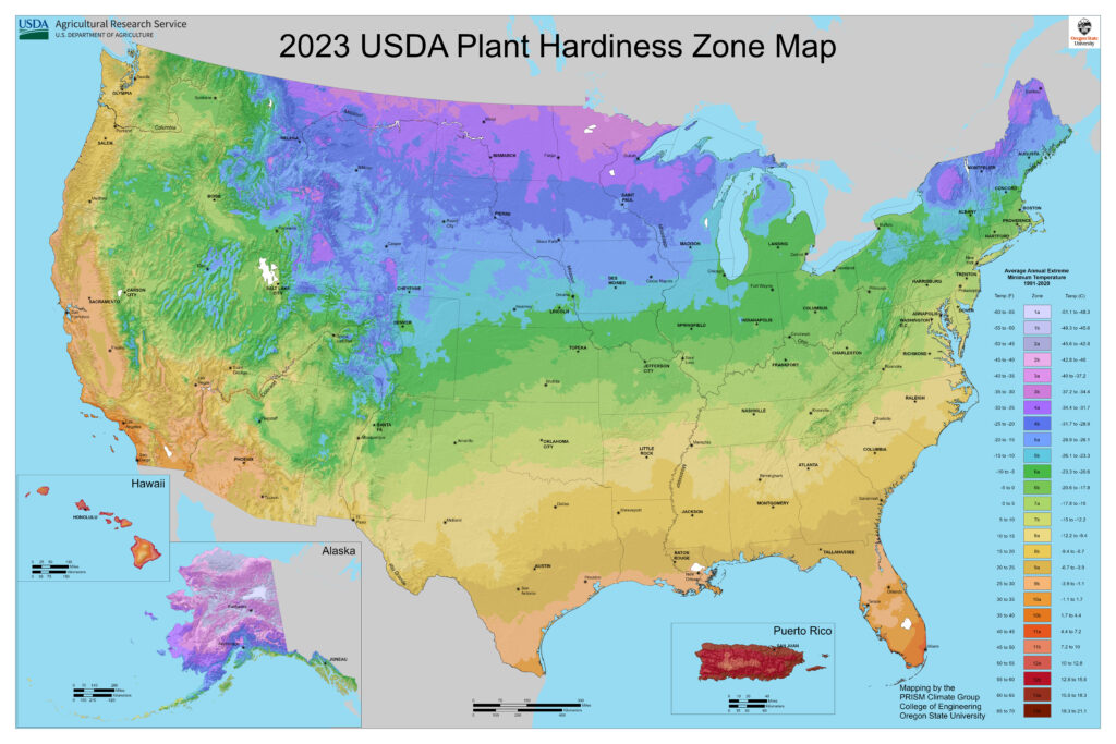 2023 USDA Plant Hardiness Zone Map (USDA-ARS and Oregon State University, Public domain, via Wikimedia Commons)