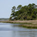 Apalachicola Bay shoreline (iStock image)