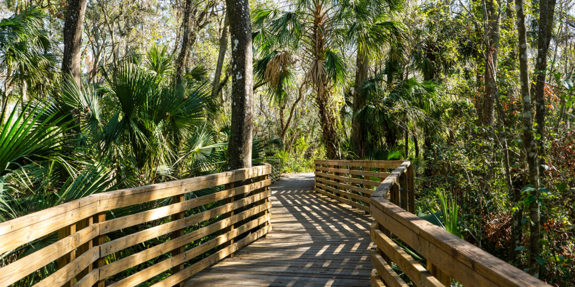 A boardwalk winds through Eureka Springs Conservation Park in Tampa (iStock image)