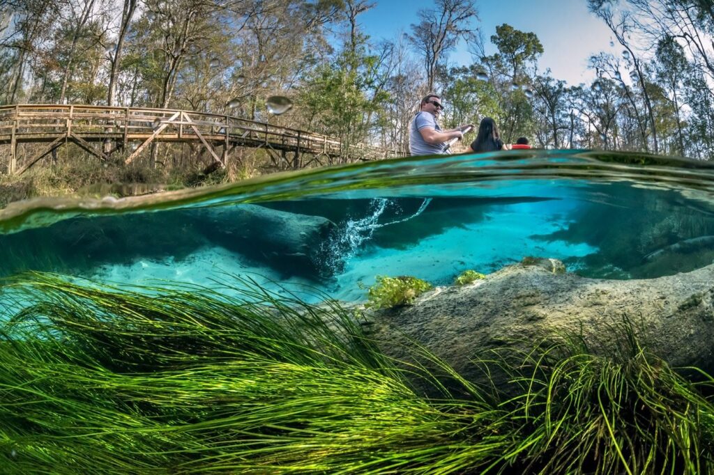 Gilchrist Blue Springs (John Moran photo)