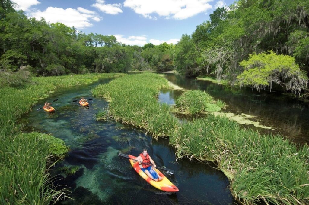 Paddling on the spring-fed Ichetucknee River (John Moran photo)