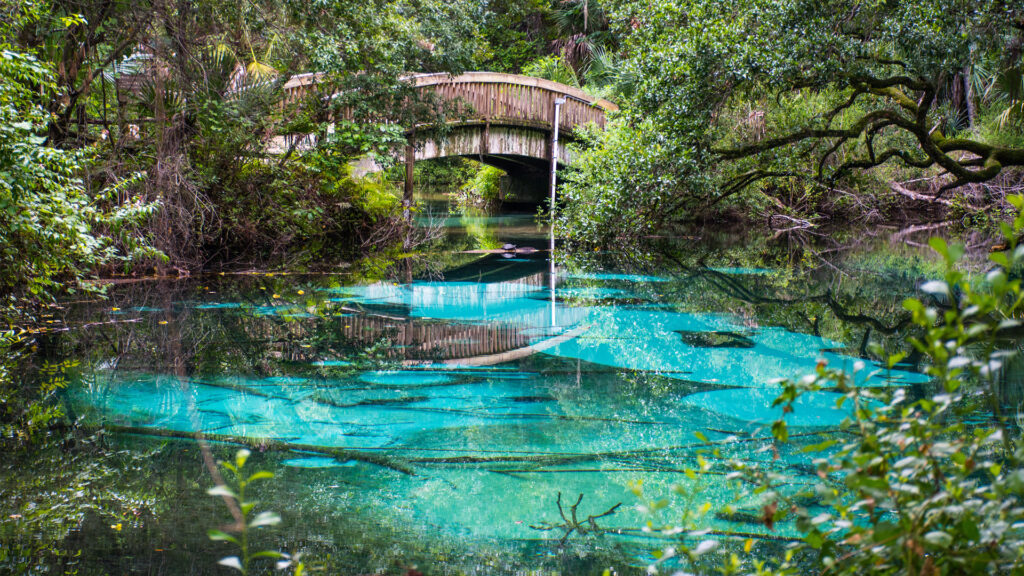 Juniper Springs in the Ocala National Forest (iStock image)