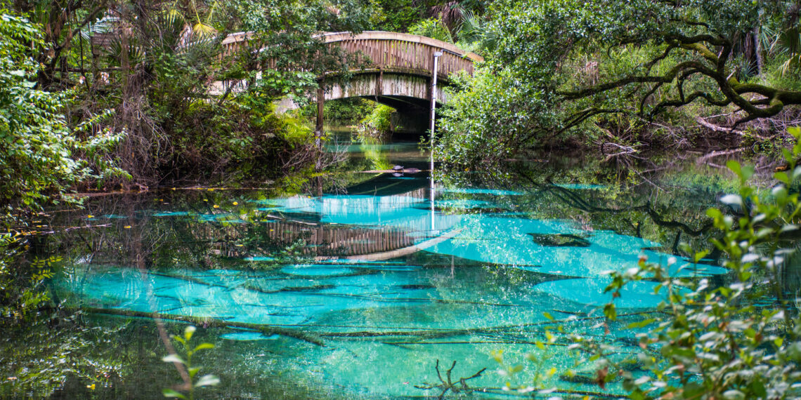 Juniper Springs in the Ocala National Forest (iStock image)