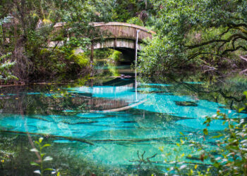 Juniper Springs in the Ocala National Forest (iStock image)
