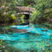 Juniper Springs in the Ocala National Forest (iStock image)