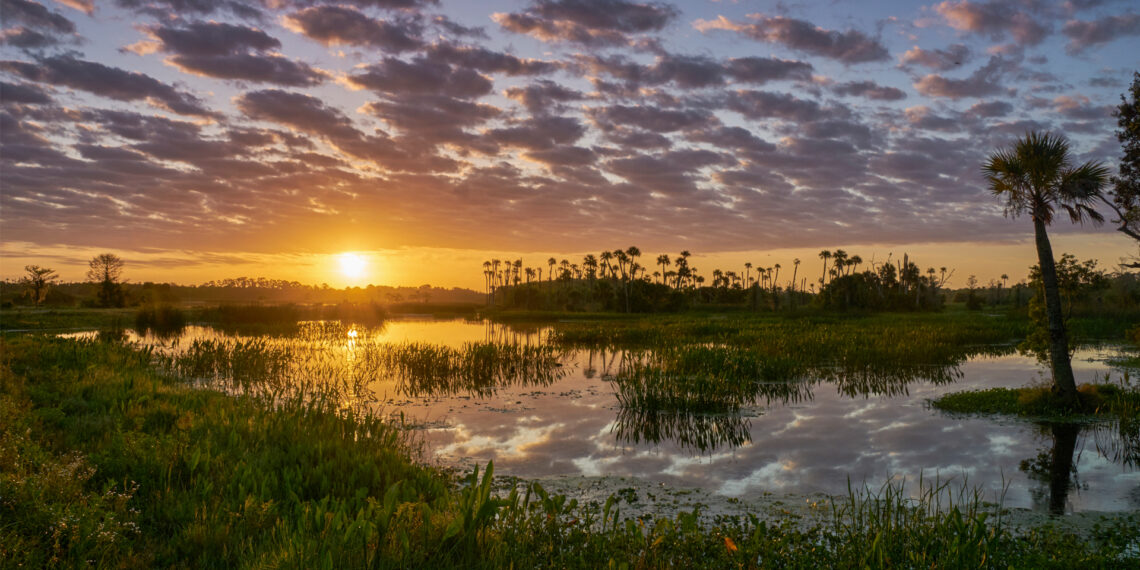 Sunrise at Orlando Wetlands Park (iStock image)