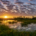 Sunrise at Orlando Wetlands Park (iStock image)