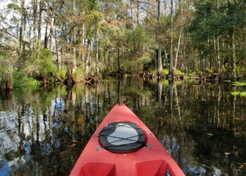 A kayak navigating a creek in Florida (iStock image)