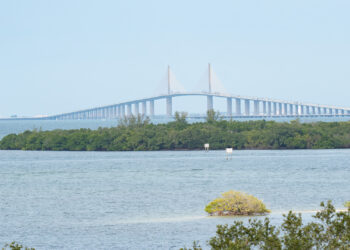 The Sunshine Skyway Bridge from Emerson Point Preserve in Manatee County (Joseph Gage, CC BY-SA 2.0, via Wikimedia Commons)