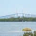 The Sunshine Skyway Bridge from Emerson Point Preserve in Manatee County (Joseph Gage, CC BY-SA 2.0, via Wikimedia Commons)