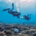Bailey Wallace, left, and Natascha Varona explore a coral reef site in Curaçao. Wallace will take part in the upcoming Tara Coral expedition to the Indo-Pacific. (Photo courtesy of Bailey Wallace)