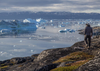 A man looks at icebergs off the coast of Greenland (iStock image)