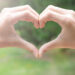 Hands in the shape of a heart against a forest background (iStock image)