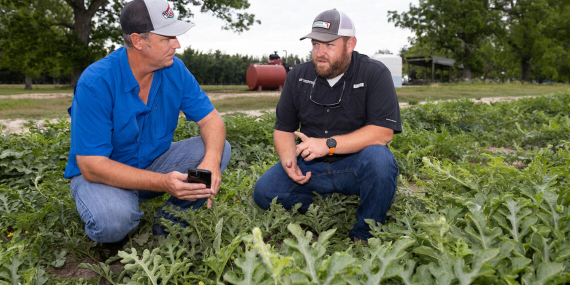 Extension agent Tyler Pittman, left, talks with watermelon farmer Garret Beach about using smart apps to monitor irrigation. (UF/IFAS photo)