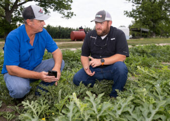 Extension agent Tyler Pittman, left, talks with watermelon farmer Garret Beach about using smart apps to monitor irrigation. (UF/IFAS photo)