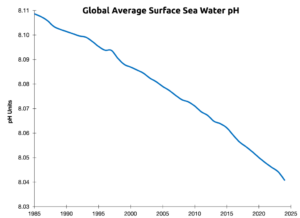 Global average surface seawater pH, 1985–2024. (Data: EU Copernicus Marine Service. Graphic: Dana Nuccitelli)