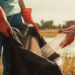 Plastic waste is picked up from a waterway during a cleanup (iStock image)