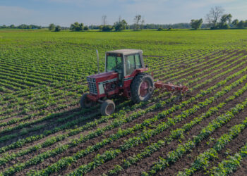 A farmer tills a field of organic soybeans (iStock image)