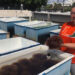 University of Miami doctoral student Jasmine Rodriguez collects algae from the aquaculture research laboratory at the University of Miami Rosenstiel School of Marine, Atmospheric, and Earth Science campus in Key Biscayne which is used to create sustainable concrete. (Image courtesy of Jasmine Rodriguez)
