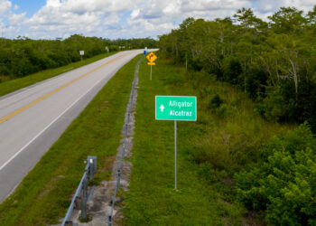 A sign pointing toward Alligator Alcatraz (iStock image)