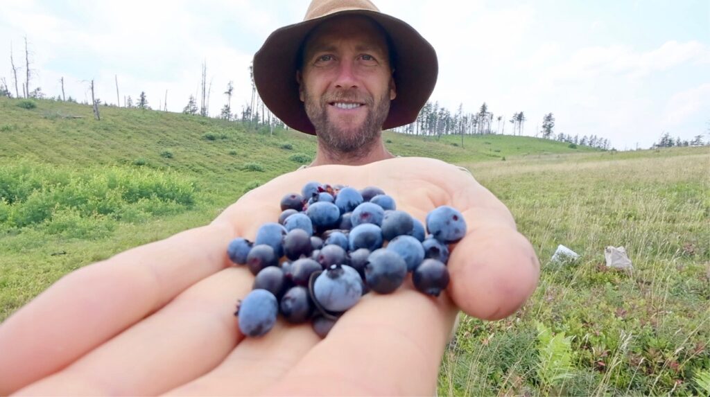 Robin Greenfield is an activist and social reformer who is living on foraged food for a year. Here he shows blueberries that he harvested. (Photo courtesy of Robin Greenfield)