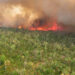 A prescribed burn at Everglades National Park, the vast majority of which is covered by the Marjory Stoneman Douglas Wilderness (NPS photo by Jennifer Brown, Public domain, via Wikimedia Commons).