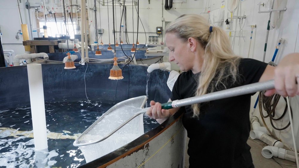 Megan Sorby of Pine Island Redfish, which uses recirculating aquaculture system technology to produce redfish (red drum). (Photo courtesy of Pine Island Redfish)
