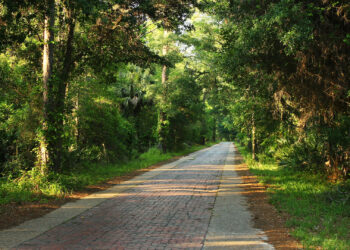 Tiger Bay State Forest include the Pershing Highway Trail, a hike over a mile of brick road constructed in 1917. (formulanone CC BY-SA 2.0, via Wikimedia Commons)