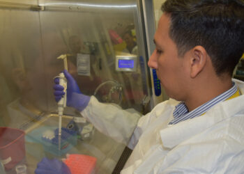 A medical research technician with the U.S. Naval Medical Research Unit processes dengue viral RNA extraction as part of a study. (U.S. Navy NMRC by Monica Barrera, Public domain, via Wikimedia Commons)