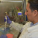 A medical research technician with the U.S. Naval Medical Research Unit processes dengue viral RNA extraction as part of a study. (U.S. Navy NMRC by Monica Barrera, Public domain, via Wikimedia Commons)
