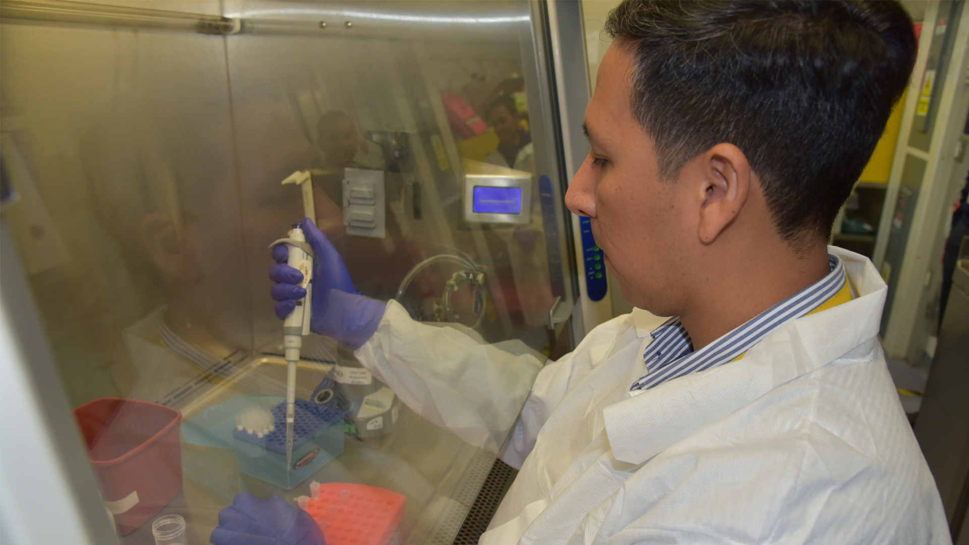 Study links record-breaking tropical disease outbreak to climate-driven extreme weather