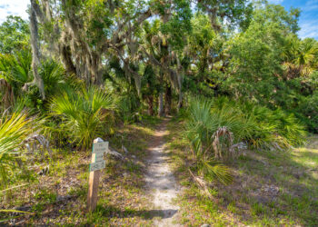 A Florida nature trail (iStock image)