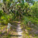A Florida nature trail (iStock image)