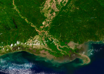 A satellite view of the Mississippi River Delta. (NOAA image)