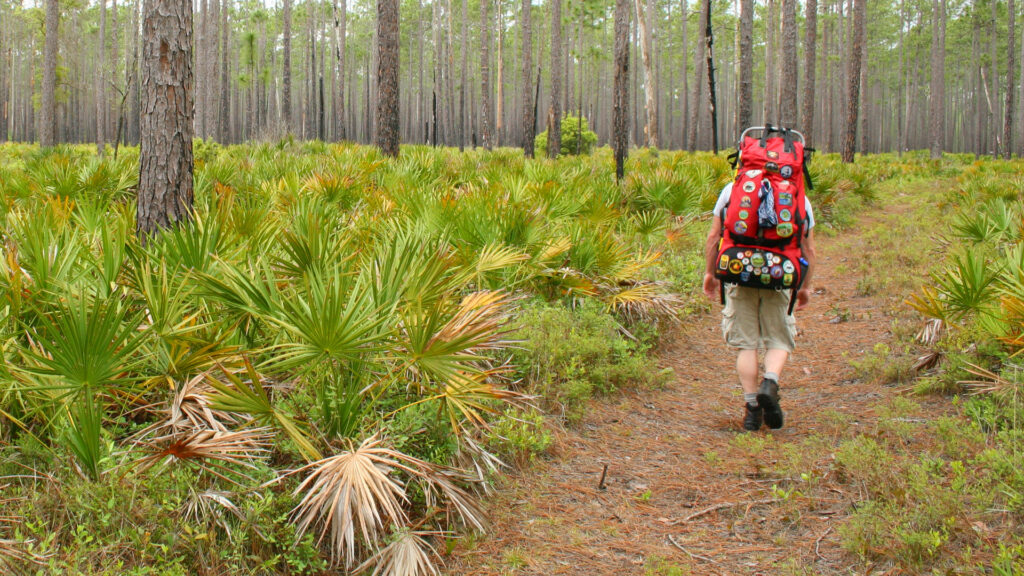 A hiker on a trail in Florida (iStock image)
