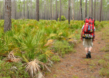 A hiker on a trail in Florida (iStock image)