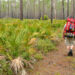 A hiker on a trail in Florida (iStock image)