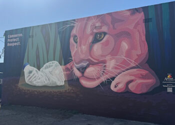 A new mural of a Florida panther at night captivated by a crushed plastic bottle at Orange Avenue and Colonial Drive, next to the iconic Orlando Postcard mural. It was created by Orlando artist Justin “Skip” Skipper of A Pivotal Character Artworks. (Trimmel Gomes)