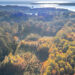 A long-running experiment is testing tree mixes to develop the healthiest forests. (Mickey Pullen/Smithsonian Environmental Research Center)