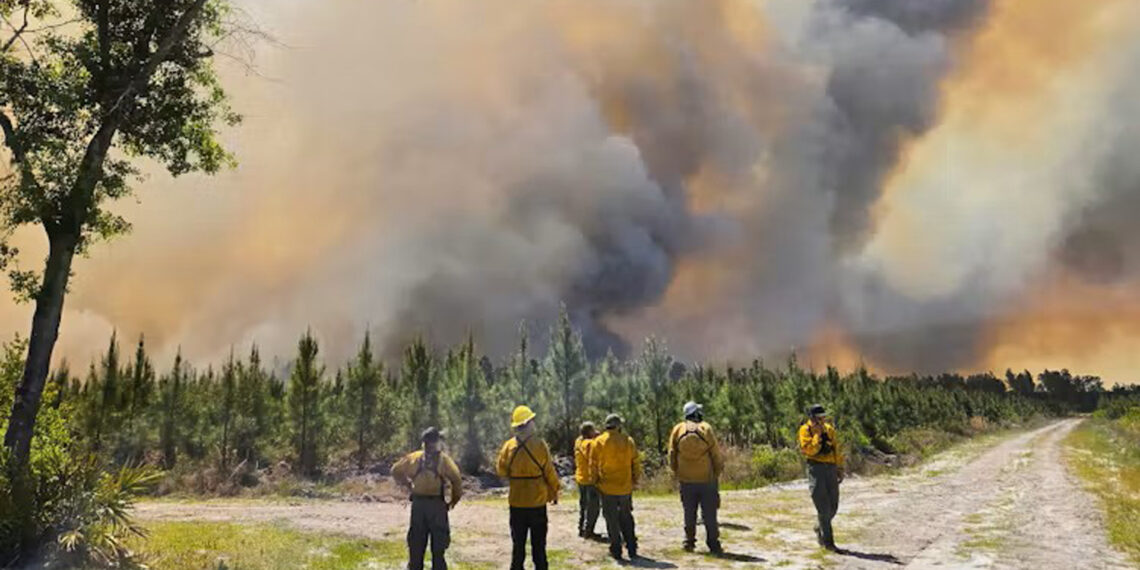 Fire crews responded to dozens of wildfires burning in Georgia and northern Florida on April 23, 2026. (Georgia Department of Natural Resources via AP)