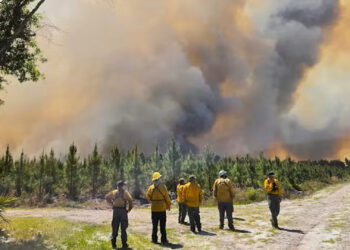 Fire crews responded to dozens of wildfires burning in Georgia and northern Florida on April 23, 2026. (Georgia Department of Natural Resources via AP)