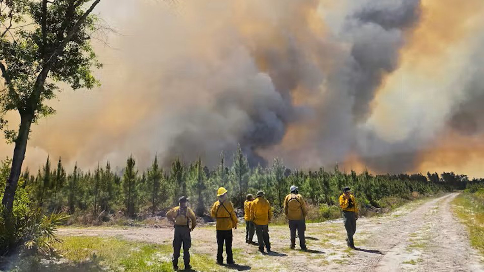 Why the Southeast is burning – extreme drought is only part of the ...