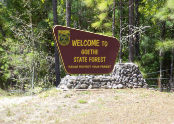 A sign at Goethe State Forest in Levy County (Ebyabe, CC BY-SA 3.0, via Wikimedia Commons)