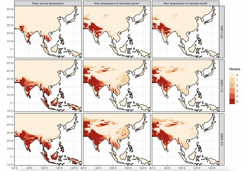 Regional temperatures are expected to rise beyond the current threshold of rice over the next few decades. Each row corresponds to the results of a separate climate model. (Image from "Projected warming will exceed the long-term thermal limits of rice cultivation" [2026] by Gauthier et al, CC BY)
